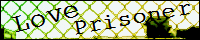 Love Prisoner